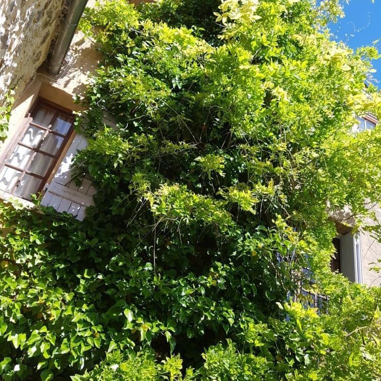 Le Balcon Apartment Camps-sur-l'Agly Екстериор снимка